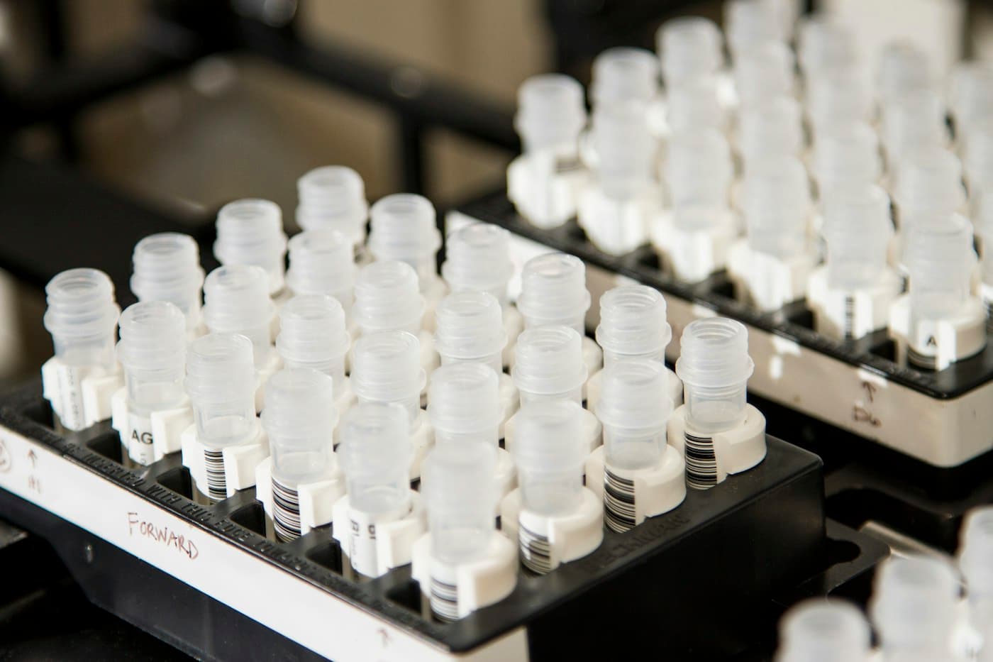 Rows of small laboratory vials